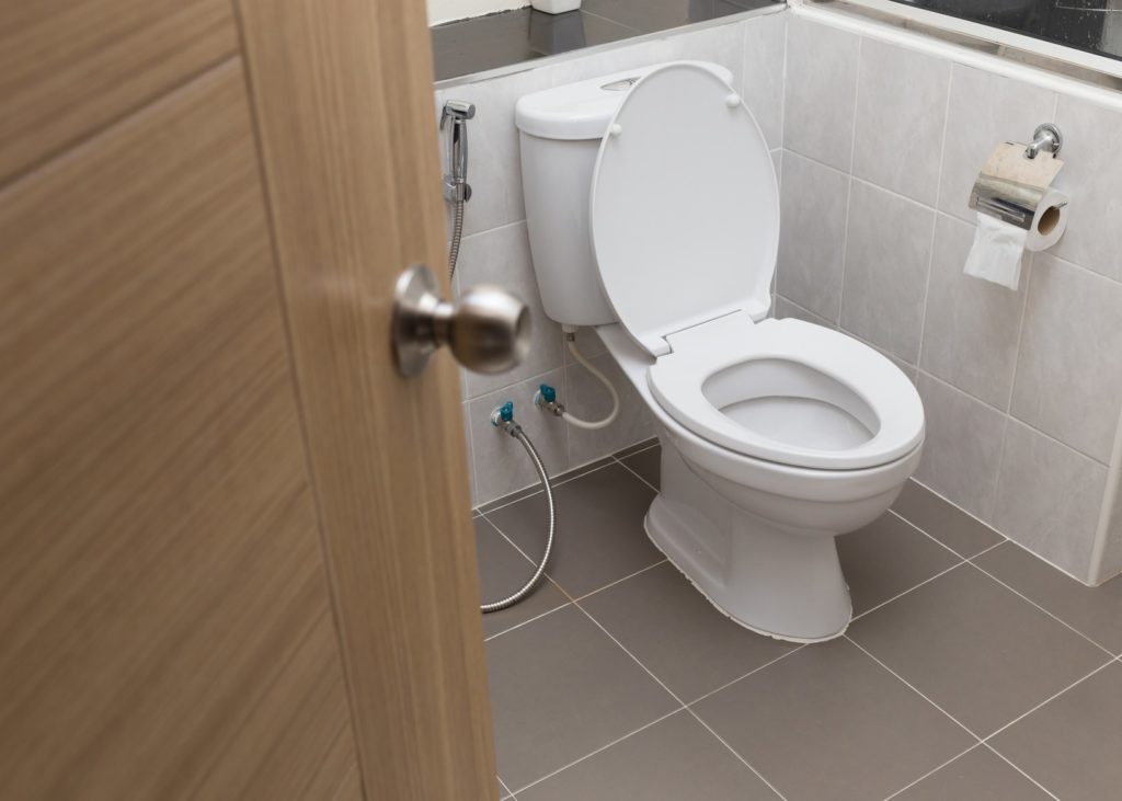 blocked toilet Cheshire